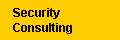 Security Consulting